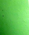 /album/photo-gallery-notebooks/a8-5-x11-green-paper-jpg/